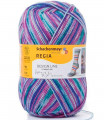 REGIA 4-ply Design Line Color by Arne & Carlos